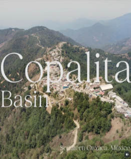 Mindfulness Illustration