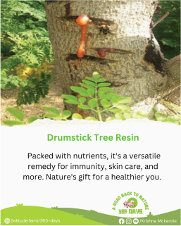 drumstick