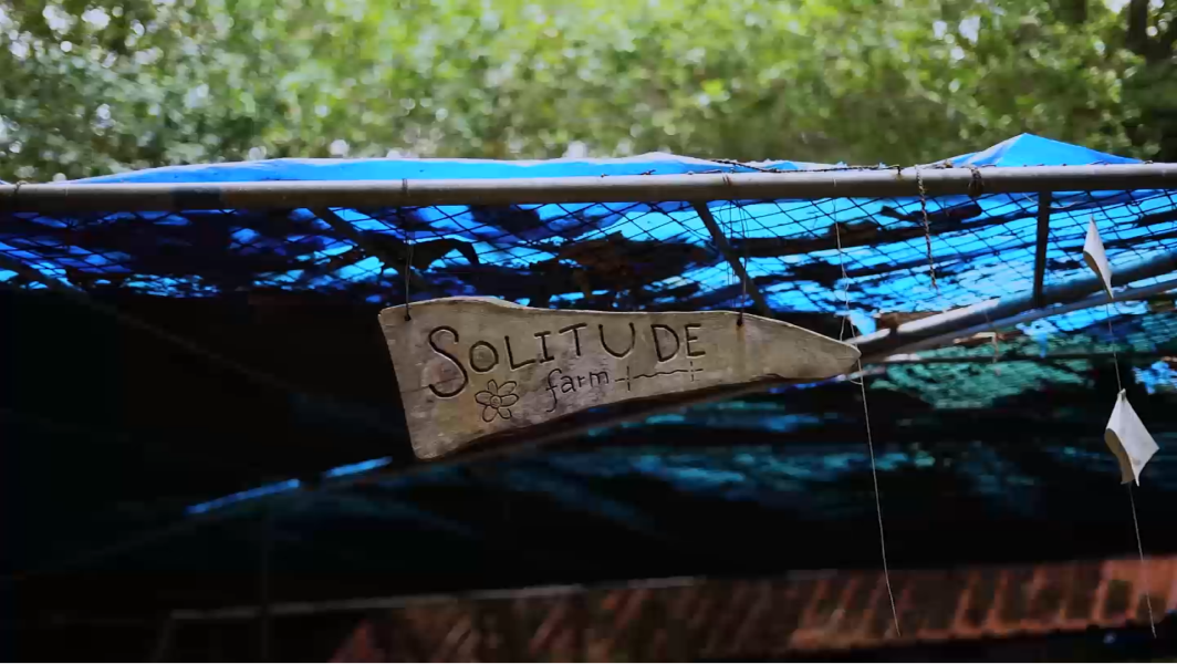 Solitude Farm